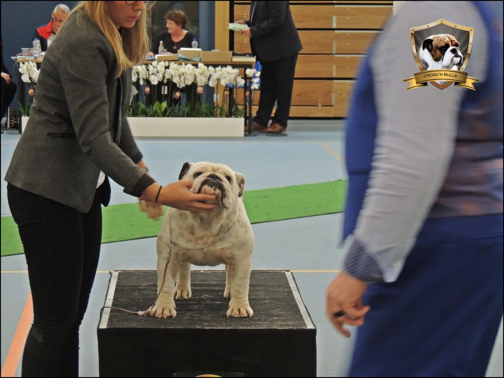 New flower des Croqu'n Bulls